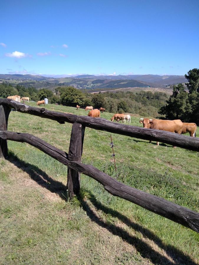 La Posada De Oscos Santa Eulalia de Oscos Kültér fotó