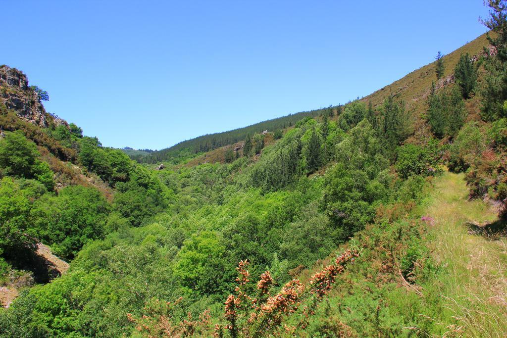 La Posada De Oscos Santa Eulalia de Oscos Kültér fotó